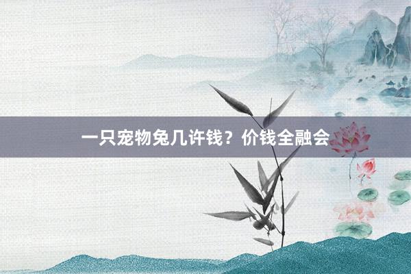 一只宠物兔几许钱？价钱全融会